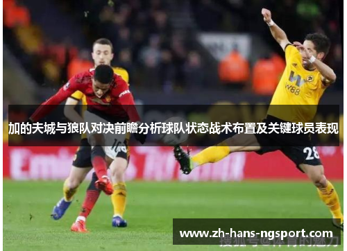 加的夫城与狼队对决前瞻分析球队状态战术布置及关键球员表现