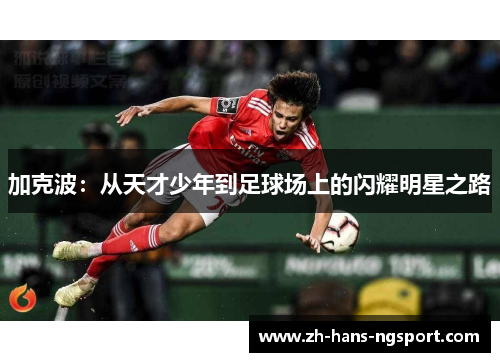 加克波：从天才少年到足球场上的闪耀明星之路